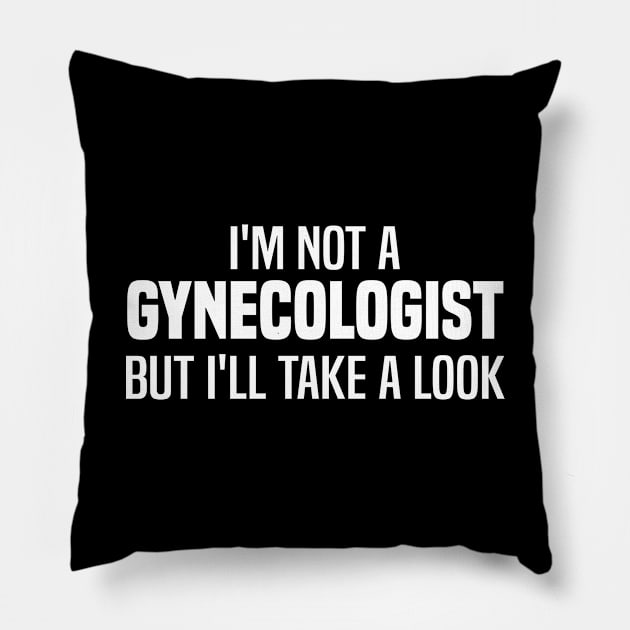 I'm Not A Gynecologist But I'll Take A Look Pillow by Blonc