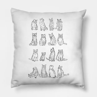 Taxonomy of Cat Breeds Pillow