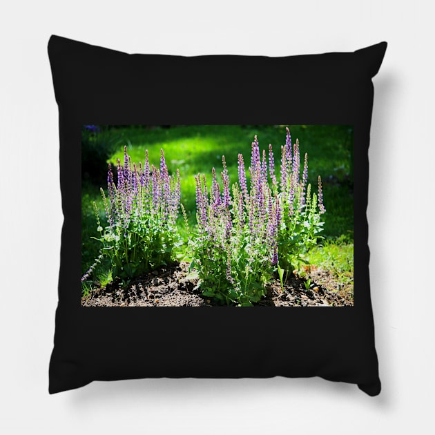 Sage flowers Pillow by croper