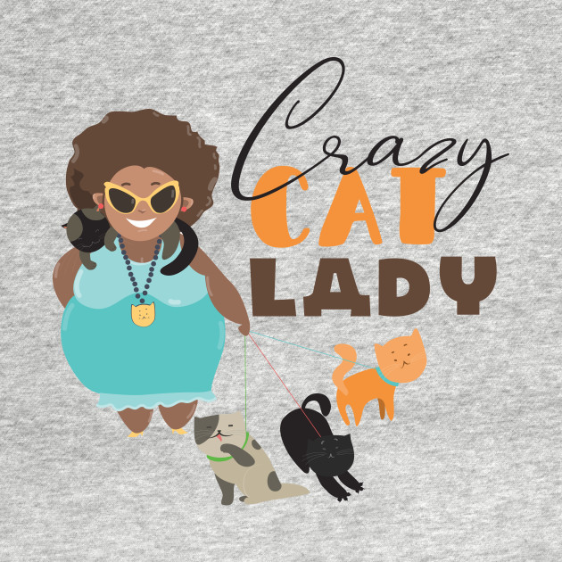 Crazy Cat Lady Cat Lady Kids Hoodie Teepublic