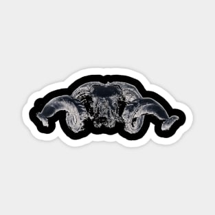 Ram Skull Dark Magnet