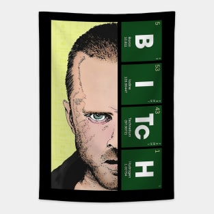 Jesse Pinkman I'll even go with you Tapestry