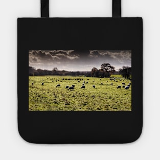 Autumn 2020 Tote