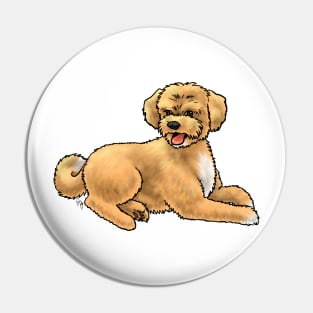 Dog - Aussiedoodle - Apricot Pin