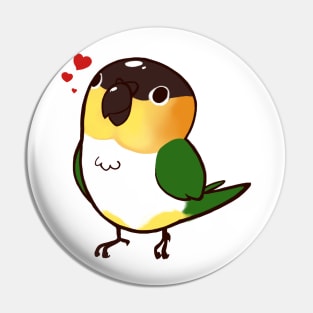 Caique 1 Pin