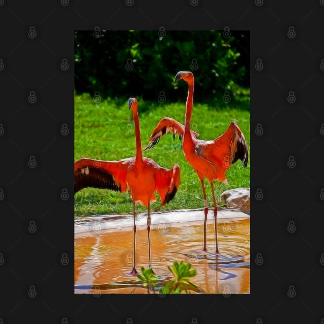 Flamingos welcome visitors of Xcaret by vadim19