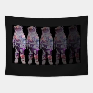 Galactic Traveler Tapestry