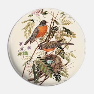 American Robin Antique Naturalist Illustration Pin