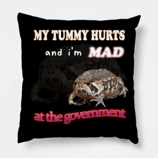 My Tummy Hurts And I'm MAD At The Government Meme Pillow