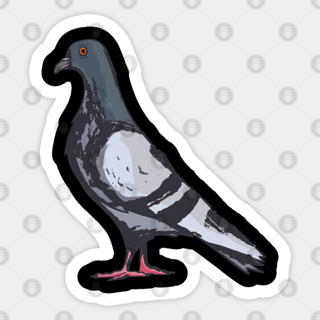 Pigeons Pigeon City Pigeon Carrier Pigeon - Doves - Sticker | TeePublic Pigeons Pigeon City Pigeon Carrier Pigeon - Doves - Sticker | TeePublic