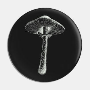 White Mushroom drawing Pin