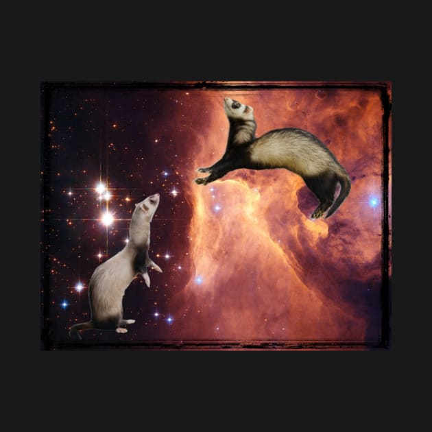 Cosmic Ferrets by Bloom Photography