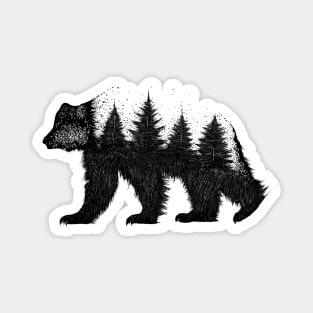 Wild Bear Magnet