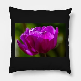 Tulip In Sunlight Pillow