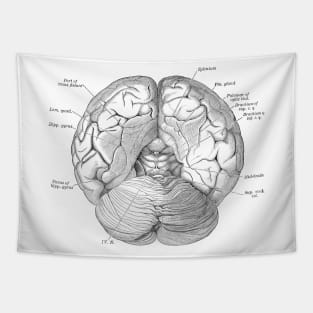 Human Body - Brain vol.2 Tapestry