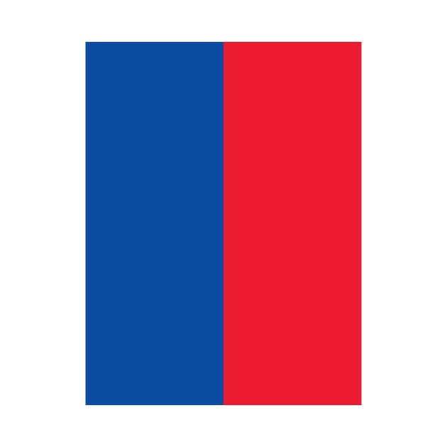 Basel FCB Blue and Red Halves by Culture-Factory