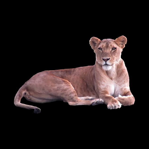 Lioness in Africa by T-SHIRTS UND MEHR