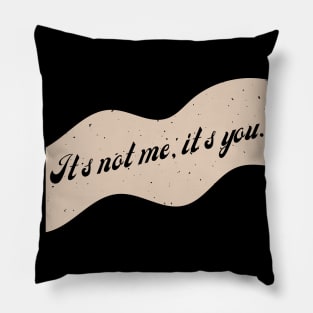 It's Not Me, It's You. Pillow