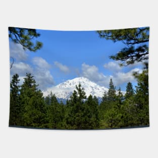 Mount Shasta, California Tapestry