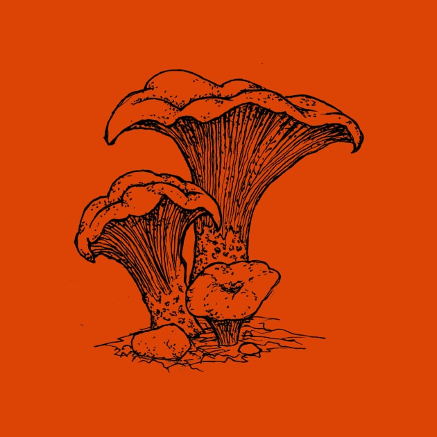 Chanterelle Mushroom by mycologist