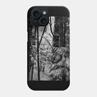 snowy Oregon forest 3 Phone Case