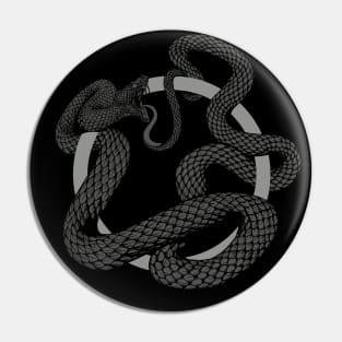 ouroboros Pin