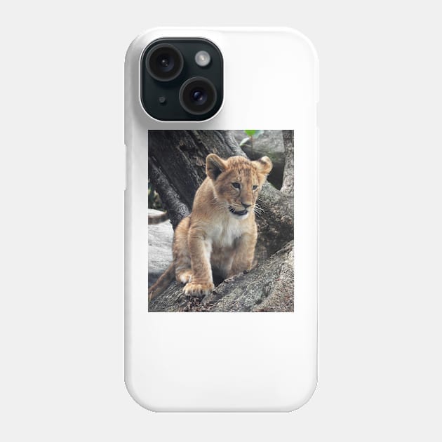 Lion Cub Phone Case by kirstybush