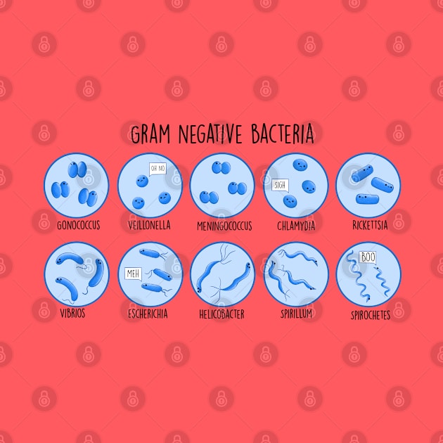 Gram Negative Bacteria by MorvernDesigns