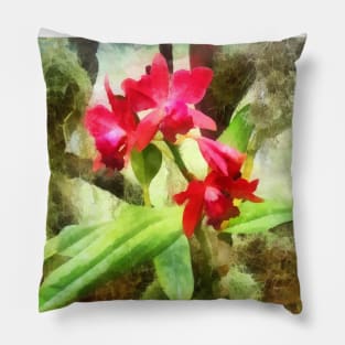 Maroon Cattleya Orchids Pillow