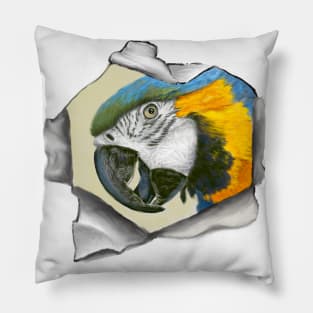 Peekaboo Parrot Pillow