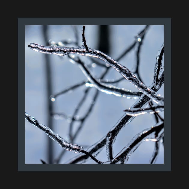 icey branches by rclsivcreative