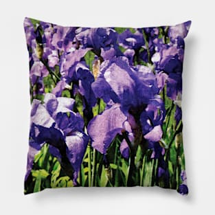 Irises Princess Royal Smith Pillow