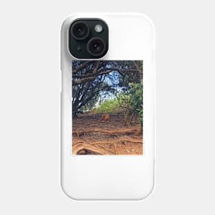 Cat Life Amongst The Trees Phone Case