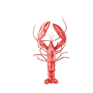 Red lobster illustration T-Shirt