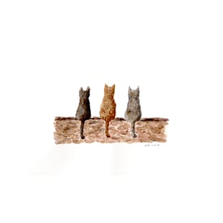 Three cats on the wall T-Shirt