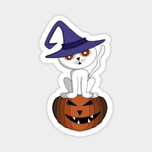 Charming kitten over a halloween pumpkin Magnet