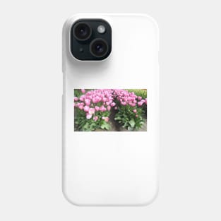 Flowers, pink tulips, Skagit Valley, Washington State Phone Case