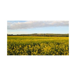 Rapeseed Fields & Hillside During Sunset T-Shirt