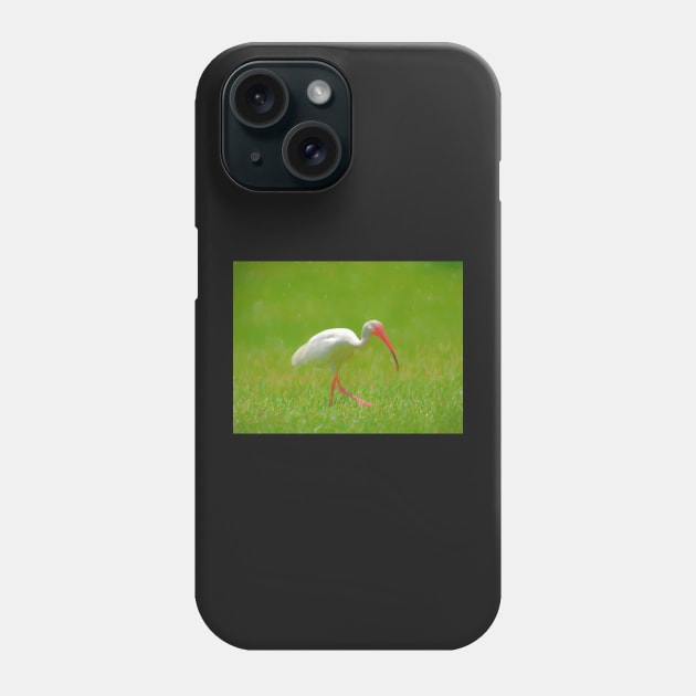 Florida Birding Phone Case by jillnightingale