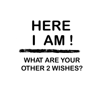 Here I am What Are Your Other 2 Wishes ? T-Shirt