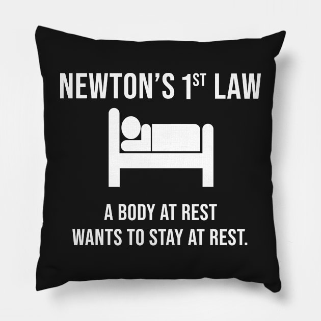 Newton's First Law- Funny Physics Joke Pillow by ScienceCorner