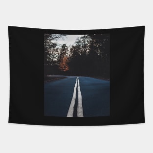 The Road to Nowhere and Everywhere Tapestry