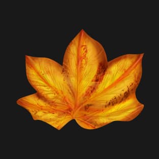 Orange autumn leaves T-Shirt