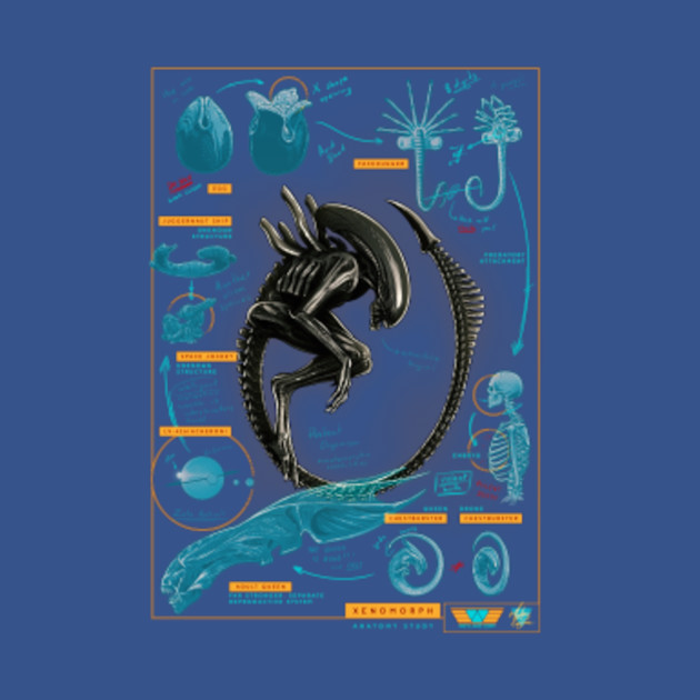 Alien Study - Alien - T-Shirt