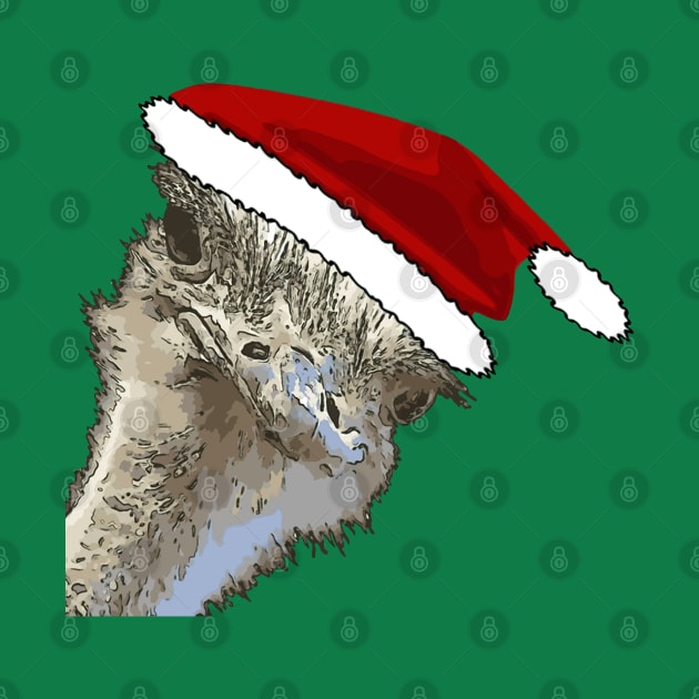 Ostrich Wearing Santa Hat Christmas Zoo Animal by taiche