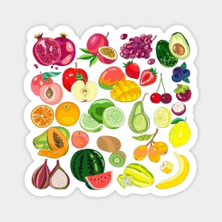 Fruits Paradise Magnet