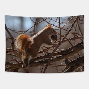 Little Squirrel Tapestry