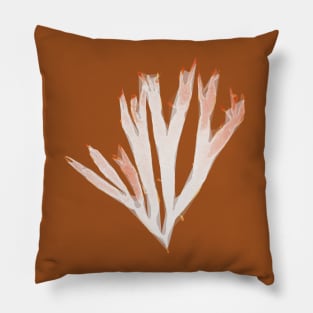 Halarachnion ligulatum Pillow