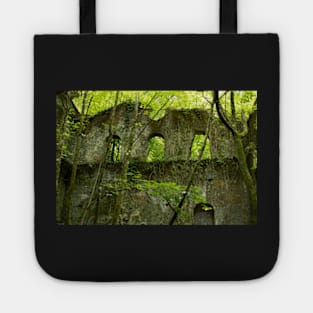 Ruins surrounded by nature Tote