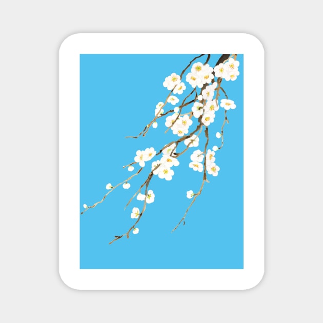 white plum flowers blossom in blue background watercolor Magnet by colorandcolor